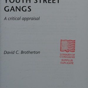 Youth Street Gangs PDF Textbook