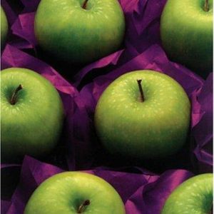 In Celebration of Print PDF Textbook