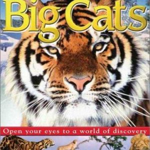 Eye Wonder PDF Textbook